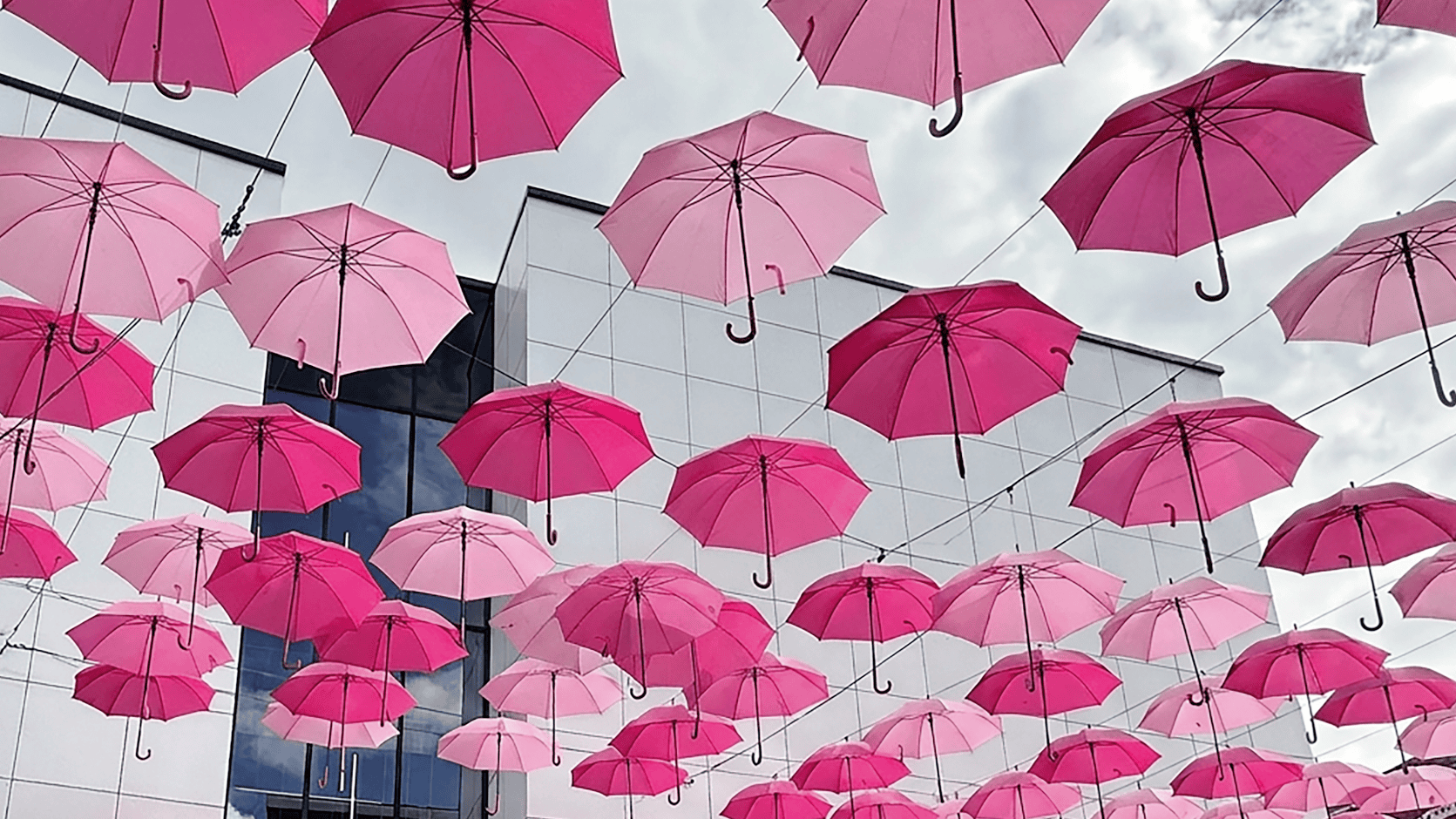 Octobre Rose : Nos élèves se mobilisent à la Médiacité pour le don de cheveux !